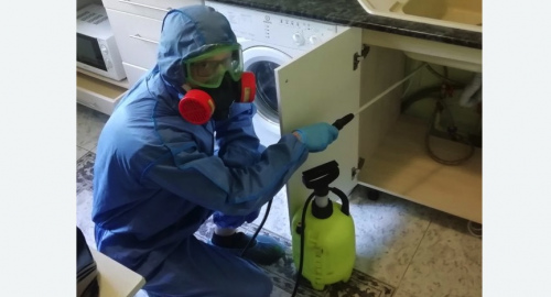 Уничтожение муравьев в квартире. Армянск