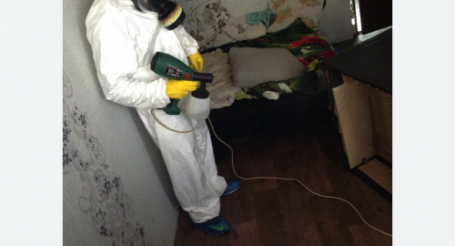 Обработка квартир от насекомых в Армянске