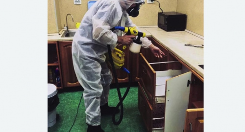 Дезинсекция квартиры. Армянск