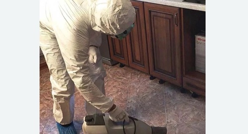 Уничтожение тараканов в квартире. Армянск
