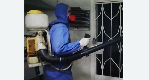 Дезинфекция от тараканов. Армянск