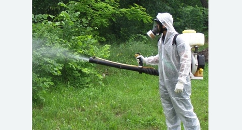 Дезинфекция территории от клещей. Армянск