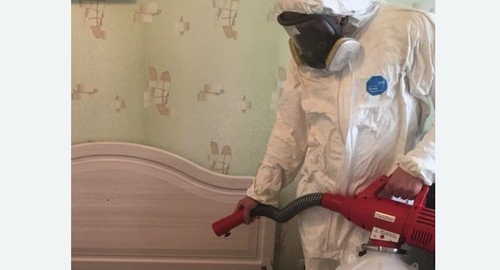 Уничтожение клещей в квартире. Армянск