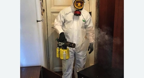 Дезинфекция от муравьев в квартире в Армянске