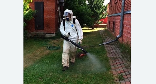 Обработка территории от клещей. Армянск