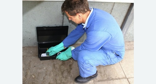 Уничтожение мышей в квартире в Армянске