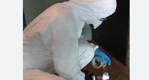 Обработка от мышей на даче. Армянск