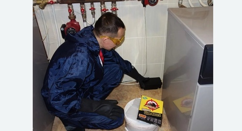 Дератизация крыс. Армянск