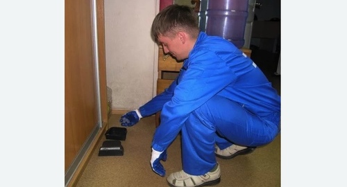 Обработка от крыс в Армянске