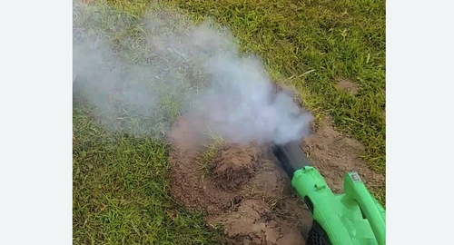 Обработка от кротов в Армянске