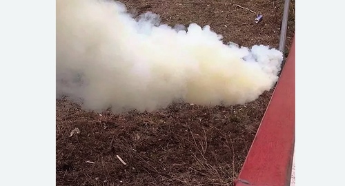 Уничтожение кротов на участке в Армянске