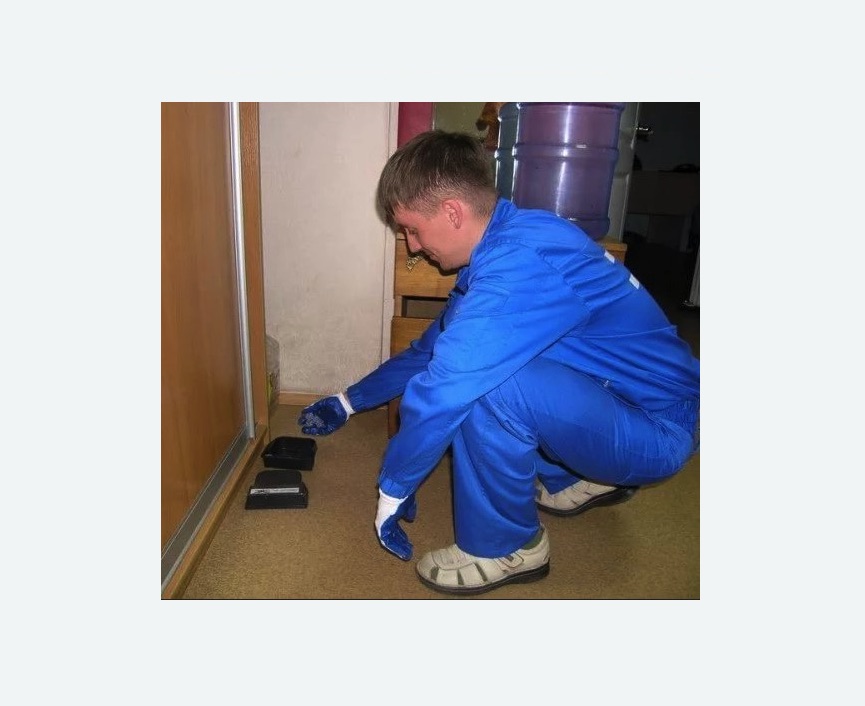 Дератизация крыс в Армянске