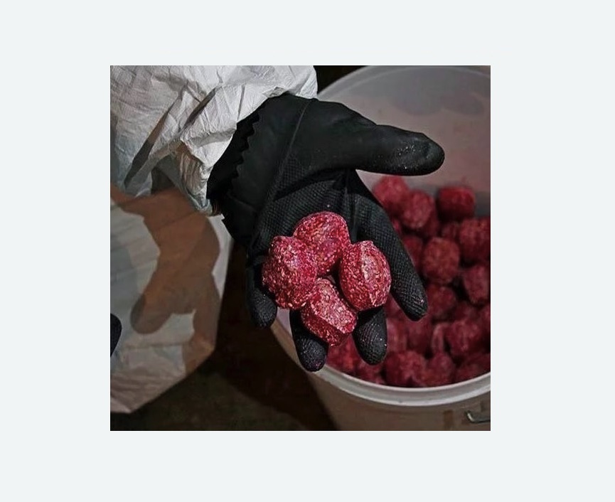 Обработка от крыс в Армянске