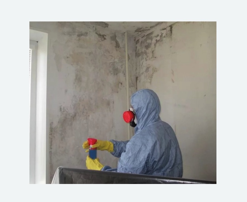 Удаление плесени в квартире в Армянске
