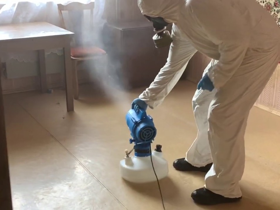 Уничтожение тараканов в квартире в Армянске